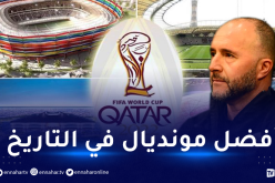 بلماضي.. أتمنى رؤية جماهير الخضر في كورنيش الدوحة