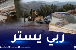الشلف: مياه الأمطار تتسرب إلى عشرات المساكن عبر 7 بلديات بالولاية