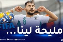 قبل الدور الفاصل.. الفيفا تزف أخبارا سارة للخضر