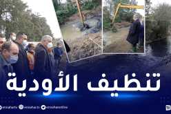تحسبا للأمطار.. والي العاصمة يتابع عمليات تنظيف وتهيئة الأودية
