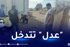 بعد أن بث تلفزيون النهار حالتها..”عدل” تتدخل للتكفل بالسيدة أرزقي