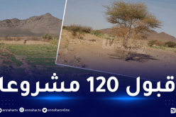 وزارة الفلاحة: 350 ملف للإستثمار في الزراعات الصناعية بالجنوب