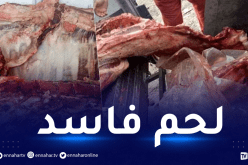 حجز 240 كلغ من لحم البقر غير صالح للإستهلاك بقالمة