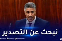 وزير السكن: الجزائر حققت إكتفاء ذاتي في مواد البناء