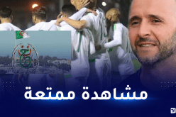 هذا هو عدد المباريات التي سيبثّها التلفزيون العمومي في كان الكاميرون