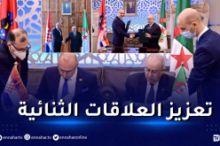 التعاون الإقتصادي بين الجزائر وكرواتيا على رأس المحادثات بين لعمامرة ونظيره الكرواتي