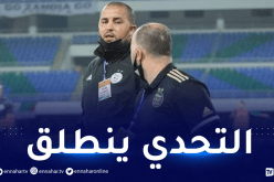 الجزائر/ السودان.. محليو “الخضر” لتحقيق بداية مثالية في كأس العرب