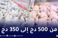 إنخفاض سعر الدجاج.. الوزارة تكشف الاسباب