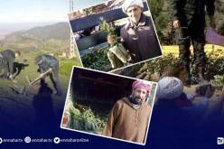 الشلف: مصالح الغابات توزع 5370 شتلة خروب على فلاحي مناطق الظل