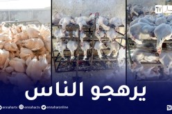 حجز 1410 كلغ لحوم ديك رومي في مداهمة لمذبح سري بوهران