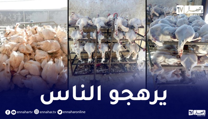 حجز 1410 كلغ لحوم ديك رومي في مداهمة لمذبح سري بوهران