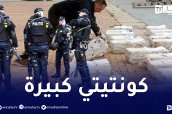 هولندا.. ضبط 2 طن “كوكايين” في شركة تعود لمواطن مغربي
