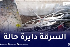 عنابة: سرقة كوابل الانترنت والهاتف الثابت بحي مختاري عبد المجيد في سيدي عمار