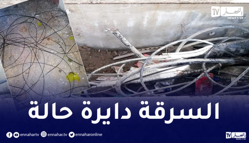 عنابة: سرقة كوابل الانترنت والهاتف الثابت بحي مختاري عبد المجيد في سيدي عمار