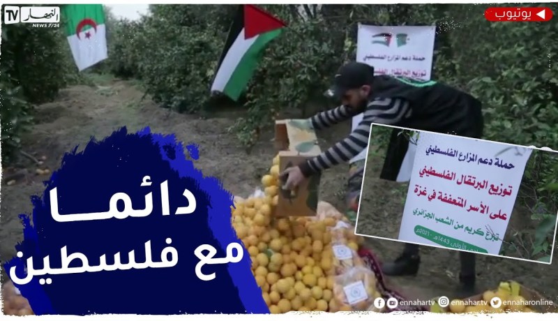 حملة جزائرية لدعم المزارع الفلسـطيني وتوزيع البرتقال بغـزة