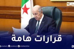 هذه أهم قرارات الرئيس تبون خلال اجتماع مجلس الوزراء