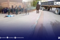 حادث: وفاة سائق دهسته عجلات شاحنة ذات مقطورة بأربوات في البيض