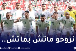 بالفيديو.. ميريزاق:”هدفنا الأول هو التتويج بكأس العرب”