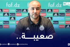 بوقرة قبل النهائي:”نحن المنتخب الوحيد الذي واجهنا كبار كأس العرب”