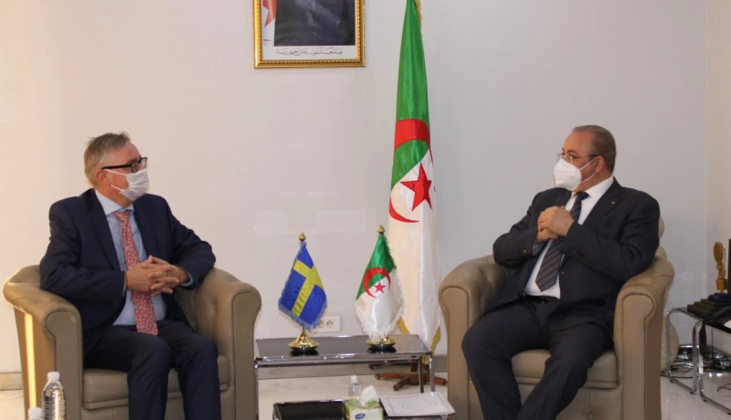 وزير الصناعة يؤكد على تعزيز الشراكة الصناعية مع السويد