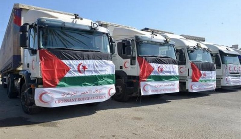 الهلال الأحمر الجزائري.. انطلاق قافلة تضامنية إلى الصحراء الغربية