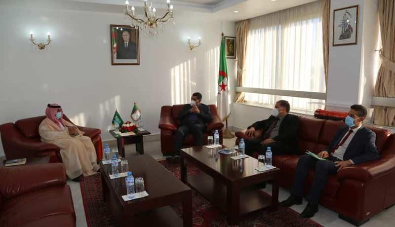 مباحثات معمقة لإعادة تفعيل الخط الجوي المباشر بين الجزائر والسعودية