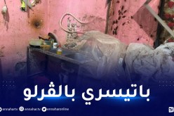 صور صادمة.. الصراصير تغزو محل بيع الخبز والحلويات في قالمة