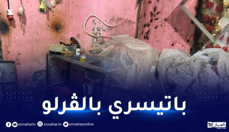 صور صادمة.. الصراصير تغزو محل بيع الخبز والحلويات في قالمة