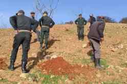 الشلف: الشروع في عملية تعويض الفلاحين المتضررين من حرائق الغابات