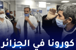 وزارة الصحة: 20 ولاية لم تسجل بها أي حالة جديدة بكورونا