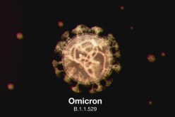 الإصابة بمتحور أوميكرون تعزز المناعة ضد دلتا