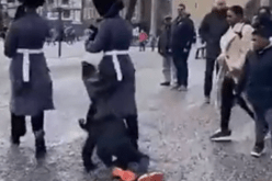 بالفيديو.. الحرس الملكي البريطاني يمشي فوق طفل وقع على الأرض