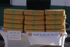 إحباط محاولات إدخال 11 قنطار زطلة عبر الحدود مع المغرب