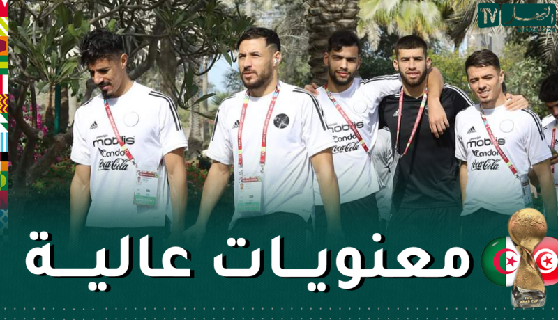 بالصور.. الخضر يجرون جولة استرخائية قبل نهائي كأس العرب