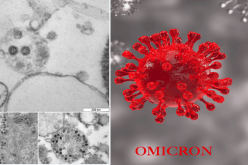 مركز روسي ينشر صورا لمتحور أوميكرون