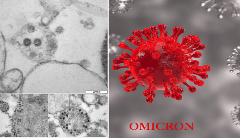مركز روسي ينشر صورا لمتحور أوميكرون