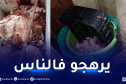 قسنطينة: حجز قرابة 3 قناطير ونصف من اللحوم الحمراء الفاسدة