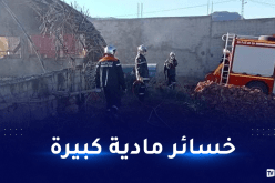 تلمسان: هلاك 2500 دجاجة في حريق ببيت بلاستيكي لتربية الدواجن