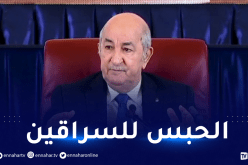 رئيس الجمهورية: لايمكن متابعة مسؤول قضائيا لأنه أخطأ في بعض الإجراءات