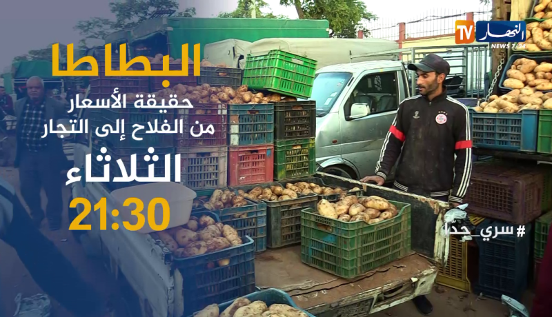 سري جدا / البطاطا..حقيقة الأسعار من الفلاح إلى التاجر.. ترقبوها