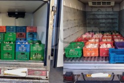 المدية: الدرك يحجز قرابة قنطارين من اللحوم البيضاء و1800 كيس من الحليب