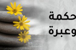 قصة المرأة والثروة والمحبة والنجاح.