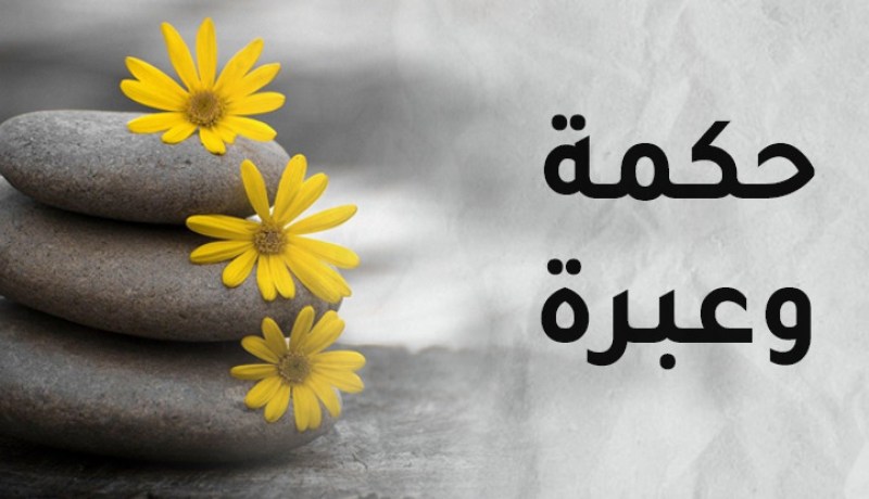 قصة المرأة والثروة والمحبة والنجاح.