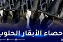 وزير الفلاحة: تقليص إستيراد مسحوق الحليب ودعم الإنتاج الوطني