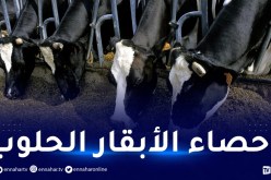 وزير الفلاحة: تقليص إستيراد مسحوق الحليب ودعم الإنتاج الوطني
