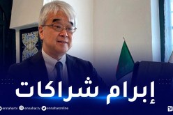 اليابان ترغب في دخول سوق صناعة السيارات بالجزائر
