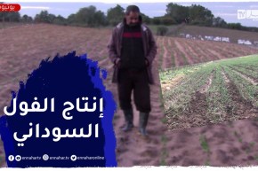 الطارف : إنتاج الفول السوداني .. فلاحو منطقة الريغية يرفعون التحدي