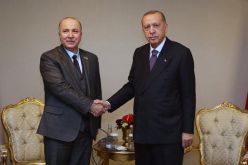 الرئيس التركي يستقبل الوزير الأول