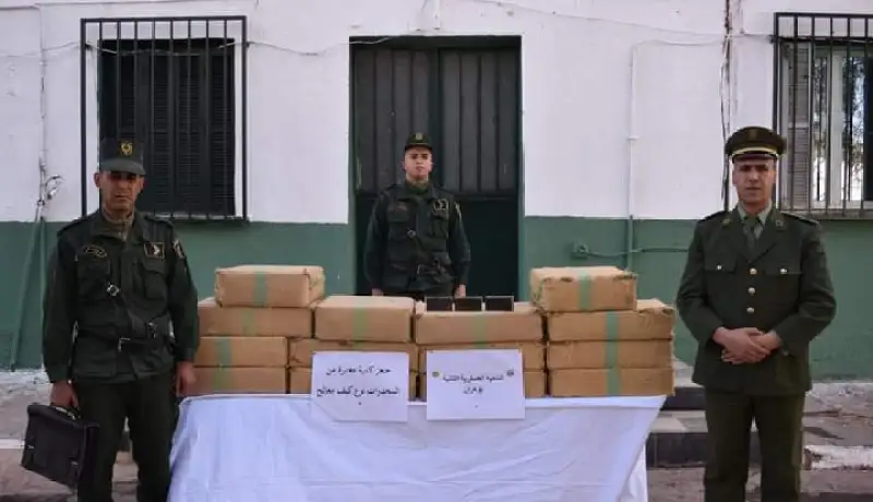 توقيف 35 بارون مخدرات وحجز أزيد من 13 قنطار زطلة
