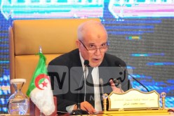 شرفي: بلغنا مرحلة تجسيد الدولة الجديدة في ظل الانتخاب الحر